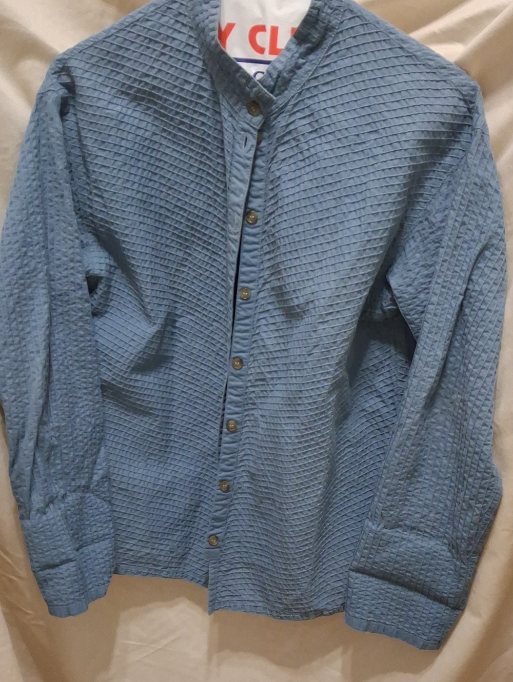 Textured Light Blue Women's Button-Front Blouse